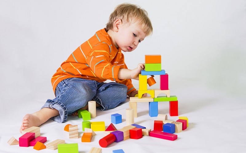 Toddler Cognitive Development